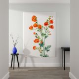 Scarlet Globe Mallow - Red Wildflower Botanical Watercolor By Mary Vaux Walcott canvas wall art - Image 2