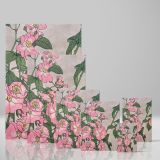 Prairie Rose - Pink Wild Roses with Green Leaves By Hannah Borger Overbeck canvas wall art - Image 4