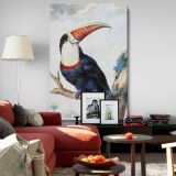 Red-Billed Toucan - Exotic Bird Perched in Tree By Aert Schouman canvas wall art - Image 8