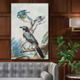 Three Birds - Tits and Shrike Perched on Branches By Aert Schouman canvas wall art