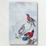 Three Crimson Sunbirds - Red Birds on Branches By Aert Schouman canvas wall art - Image 7