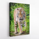 Tiger Canvas Wild Animals Photography Canvas Wall Art - Image 3