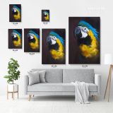 Bird Psittacidae Parrot Original Pastel Painting Posters Print Canvas with Frame - Image 3