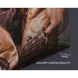 Panoramic Canvas Spartacus Movie Wall Arts Framed Print Poster Kids Gaming Zone - Image 6