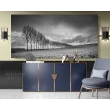 Panoramic Black and White Photography Canvas Wall Art - Image 4