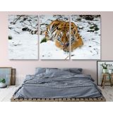 Panoramic Large Tiger Canvas Photography Photo Print Poster Wall Artwork - Image 3