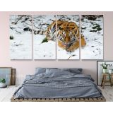 Panoramic Large Tiger Canvas Photography Photo Print Poster Wall Artwork - Image 4