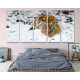 Panoramic Large Tiger Canvas Photography Photo Print Poster Wall Artwork - Image 5