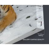 Panoramic Large Tiger Canvas Photography Photo Print Poster Wall Artwork - Image 6