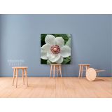 White Magnolia Flower Canvas Wall Art - Image 2