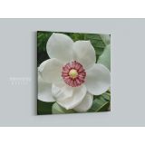 White Magnolia Flower Canvas Wall Art - Image 4