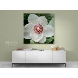 White Magnolia Flower Canvas Wall Art - Image 5