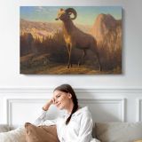 A Rocky Mountain Sheep Ovis Montana by Albert Bierstadt - single-panel canvas displayed above a sofa