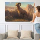 A Rocky Mountain Sheep Ovis Montana by Albert Bierstadt - single-panel canvas shown with a person for scale