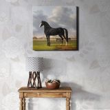 Adriaan van der Hoop's Trotter 'De Vlugge' (The Fast One) in a Meadow (1828) by Anthony Oberman — alternate room view