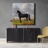 Adriaan van der Hoop's Trotter 'De Vlugge' (The Fast One) in a Meadow (1828) by Anthony Oberman — alternate room view