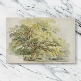 Study of a Tree canvas artwork displayed on a marble background