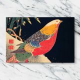Golden Pheasant in the Snow canvas artwork displayed on a marble background