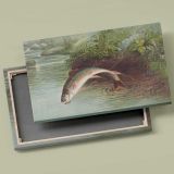 Leaping Brook Trout canvas front and rear frame view