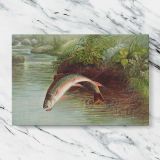 Leaping Brook Trout canvas artwork displayed on a marble background