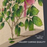 Pink Roses Botanical Illustration canvas texture and wrapped edge closeup