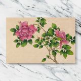 Pink Roses Botanical Illustration canvas artwork displayed on a marble background