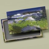 Vine Clad Shore on Monhegan Island canvas front and rear frame view