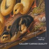 Ducklings in a Woodland Nest canvas texture and wrapped edge closeup