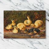 Ducklings in a Woodland Nest canvas artwork displayed on a marble background