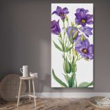 Eustoma russelianum 1930 by Mary Vaux Walcott canvas wall art displayed in a contemporary room