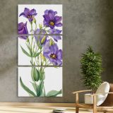 Eustoma russelianum 1930 by Mary Vaux Walcott three panel canvas print in a contemporary interior