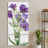 Eustoma russelianum 1930 by Mary Vaux Walcott three panel canvas wall art room mockup