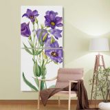 Eustoma russelianum 1930 by Mary Vaux Walcott two panel canvas wall art room mockup