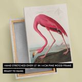 Pink Flamingo Vintage Bird Illustration canvas print, front and back view