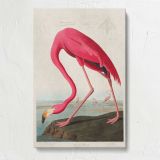 Pink Flamingo Vintage Bird Illustration canvas print, front view