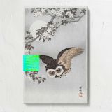 Scops Owl with Cherry Blossoms and Moon by Ohara Koson canvas print, front view