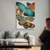 Vintage Butterfly Collection canvas print, room display