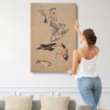 Finches Bird Study canvas print, displayed on a wall
