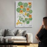 Capucine Nasturtium Botanical Illustration canvas print, room display