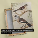 Two Birds on Branches by Theo van Hoytema canvas print, front and back view