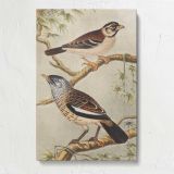 Two Birds on Branches by Theo van Hoytema canvas print, front view