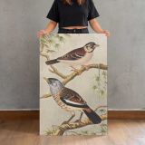 Two Birds on Branches by Theo van Hoytema canvas print, held for scale