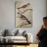 Two Birds on Branches by Theo van Hoytema canvas print, room display