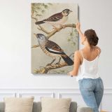 Two Birds on Branches by Theo van Hoytema canvas print, displayed on a wall