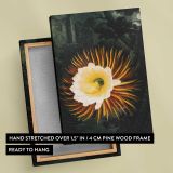 The Night-Blowing Cereus by Robert John Thornton canvas print, front and back view