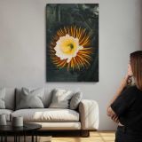 The Night-Blowing Cereus by Robert John Thornton canvas print, room display