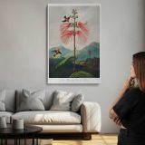 Large-Flowering Sensitive Plant by Robert John Thornton canvas print, room display