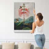 Large-Flowering Sensitive Plant by Robert John Thornton canvas print, displayed on a wall
