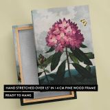 The Pontic Rhododendron by Robert John Thornton canvas print, front and back view