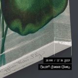 The Blue Egyptian Water-Lily by Robert John Thornton canvas print, canvas edge detail